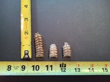 Rattlesnake rattles for sale  Spencer