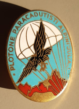 Distintivo plotone alpini usato  Cervignano del Friuli