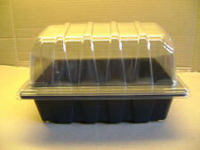 Half size seed for sale  MANSFIELD
