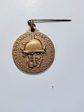 Medaglia adunata ventennale usato Medaglia adunata ventennale usato  Italia