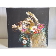 Lovely llama victoria for sale  Signal Mountain