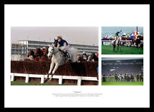 Desert orchid montage for sale  FARNHAM