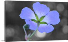 Artcanvas purple flower for sale  Niles