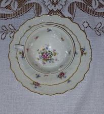 Royal epiag porzellan gebraucht kaufen  Schmalkalden