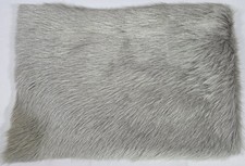 Natural gray genuine for sale  Pulaski