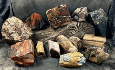 Mixed box petrified for sale  Fountain Valley