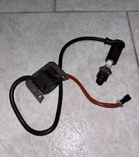 Bonina elettronica motore usato  Santo Stefano Belbo