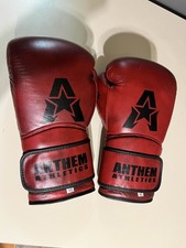 Stormbringer leather boxing for sale  Peachland