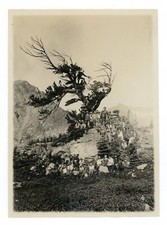 1910s edwin tangen for sale  Anaheim