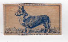 Cartão de cigarro Dogs 1952 #13 Welsh Corgi comprar usado  Enviando para Brazil