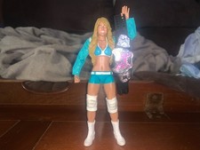 Wwe elite kelly for sale  Onalaska