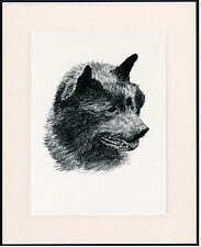 Schipperke old 1935 for sale  COLEFORD