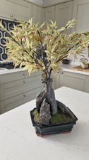 Bloom artificial bonsai for sale  BRAUNTON