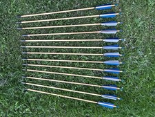 Stück holzpfeile bogensport gebraucht kaufen  Nortorf
