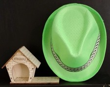 Conjunto Decorativo Exclusivo😉 Mini Casa de Cachorro de Madeira + Chapéu Fedora Verde Neon 👍Feito à Mão, usado comprar usado  Enviando para Brazil