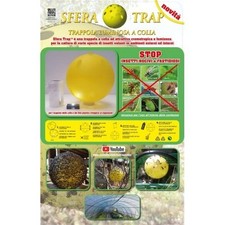 Sfera trap pz usato  Villarbasse