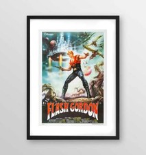 Poster con cornice usato  Macerata