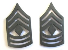 Army paire insignes d'occasion  France