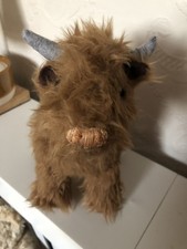 Cuddly standing highland for sale  MARCH