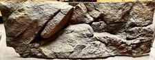 Aquarium rückwand 119x45 gebraucht kaufen  Rheinstetten