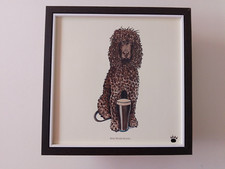 Bryn parry dog for sale  YORK