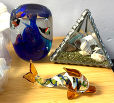 beach terrarium for sale beach terrarium for sale Novato