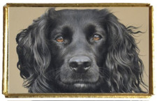Cocker spaniel dog usato  Spedire a Italy