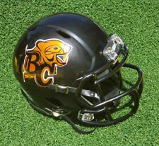 Lions indigenous logo for sale  Merritt Island