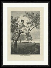 Idylle beyle baum gebraucht kaufen Idylle beyle baum gebraucht kaufen  Grabenstätt