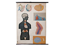 Wall hanging vintage for sale  BLACKPOOL