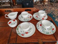 Dibbern summergarden kaffeeset gebraucht kaufen  Vohburg a.d.Donau