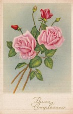 Buon compleanno fiori usato  Roma