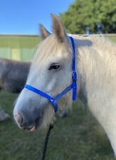 Biothane halter underhalter for sale  CHEPSTOW