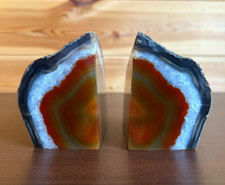 Small fossilised natural for sale  STAINES-UPON-THAMES