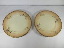 Antique victorian plates for sale  CREWE