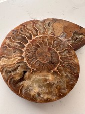 Large 12cm super for sale  CHELMSFORD