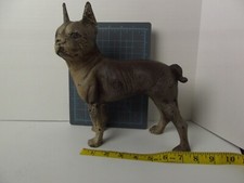 Boston terrier cast for sale  Norco
