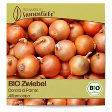Bio zwiebel samen gebraucht kaufen  Worms