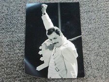 Freddie mercury photo for sale  STOWMARKET