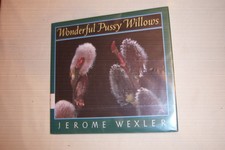 Wonderful pussy willows for sale  North Smithfield