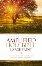 Amplified bible large for sale  Aurora