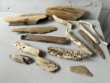 Driftwood pieces sea for sale  CLACTON-ON-SEA