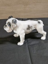 Englische bulldogge rosenthal gebraucht kaufen  Neusorg