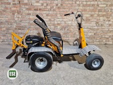 Sisis robbi. ride for sale  ELY