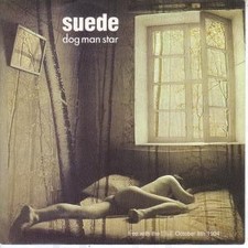 Suede dog man for sale  HUDDERSFIELD