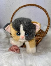 kitty kitty kitten tyco for sale kitty kitty kitten tyco for sale Dallastown