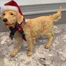 Golden retreiver dog for sale  Brownville