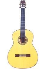 Guitarra Flamenca José M Palmero 2024 – Sorprendente Fusión de Belleza y Poder+ Video segunda mano  Embacar hacia Mexico