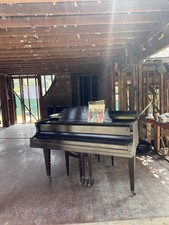 Beautiful black baby for sale  Beverly Hills