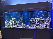 aquarium canopy for sale  Elgin